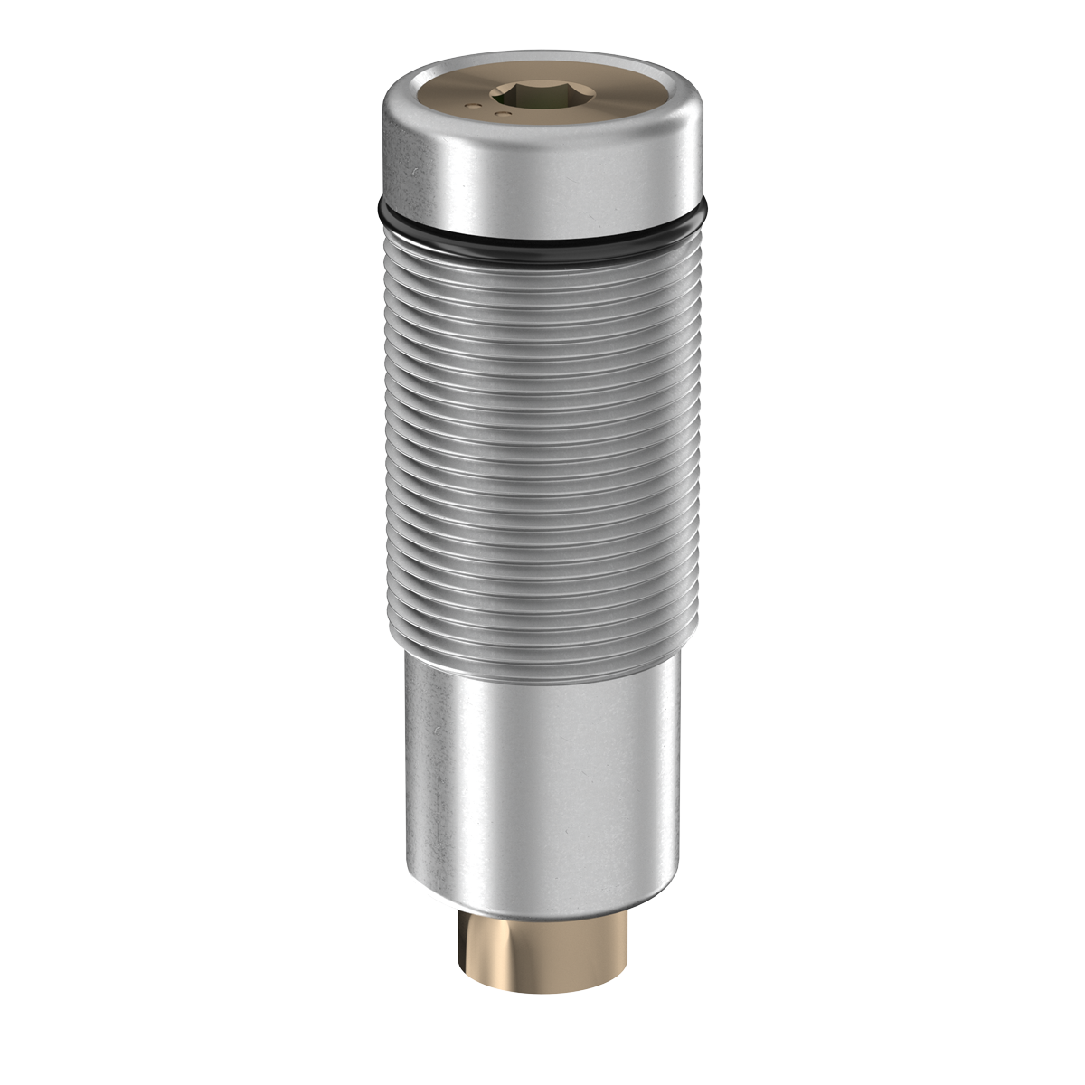 statischer Dorsalanschlag